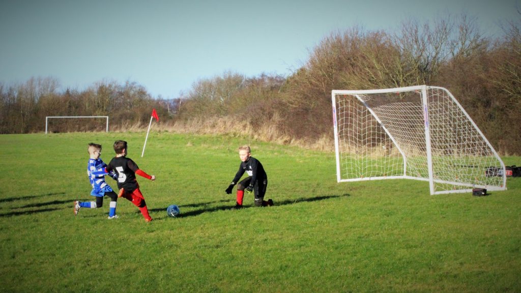 Linnets Whites JFC