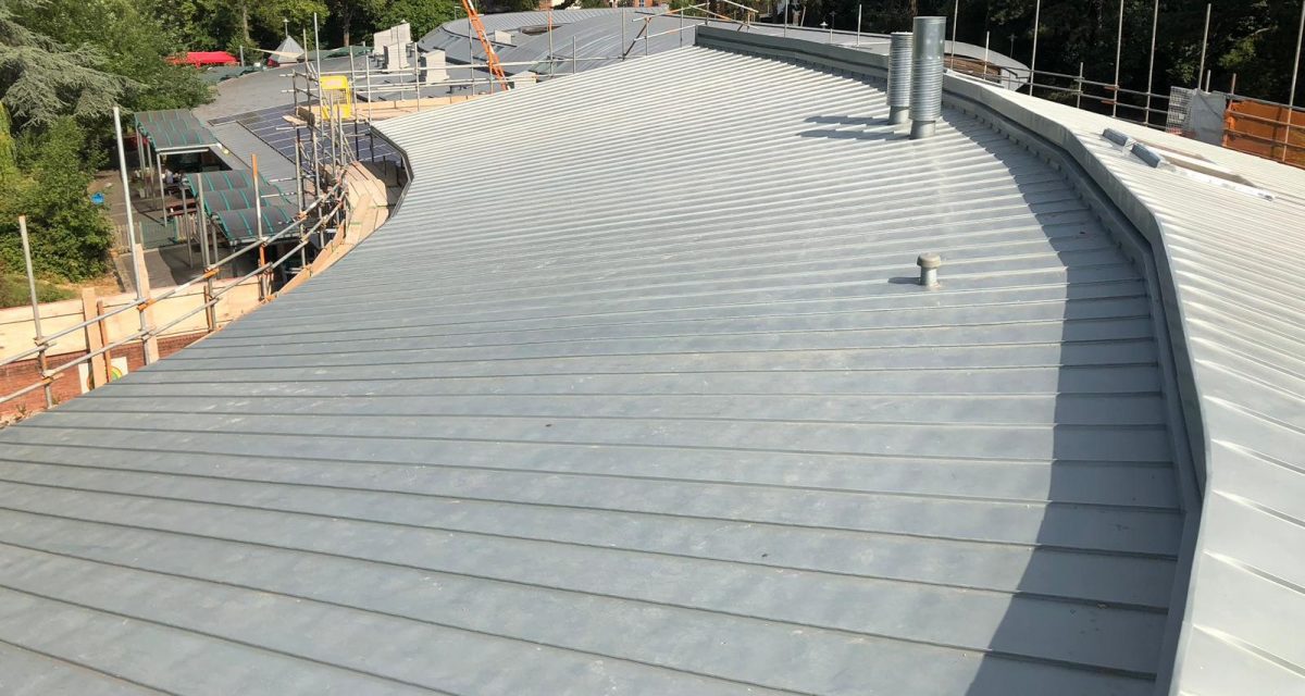 Red Hill Primary Longworth tight roof curve and tapered zinc roofing panels cropped for web